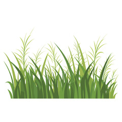 Obraz premium Grass illustration green vegetation vector