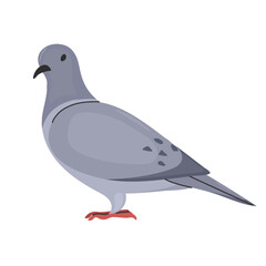 Fototapeta premium Mourning dove icon clipart avatar logotype isolated illustration