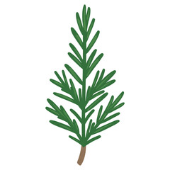Obraz premium Green rosemary leaf illustration simple plant vector