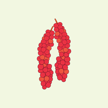 Buni Fruit Flat Design Cartoon Illustration