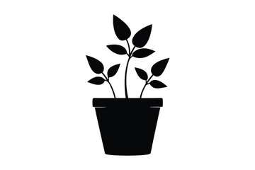 Fototapeta premium Small Indoor Plant In Pot Silhouette Vector Illustration Black And White