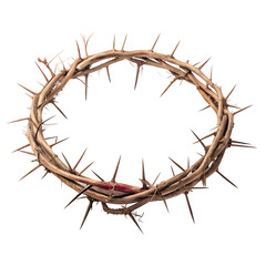 A cross made of thorns with a red cross on it. The cross is made of wood and has many thorns sticking out of it. The thorns are sharp and pointy, giving the cross a menacing appearance