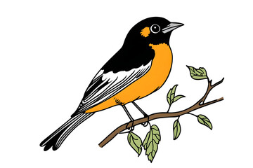 Vibrant bird detailed illustration