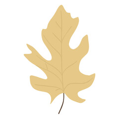 Naklejka premium Leaves leaf illustration simple vector