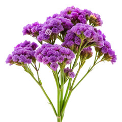Obraz premium bouquet of flowers