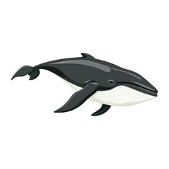 Fototapeta premium Whale illustration animal wildlife vector