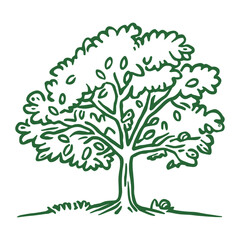 Obraz premium Oak tree drawing art illustration vector