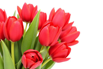 Obraz premium bunch of red tulips in a vase on a white background