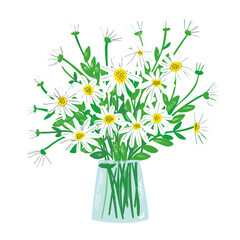 Fototapeta premium Daisy Bouquet flower daisies daisy illustration vector