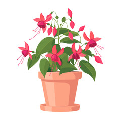 Potted plant Fuchsia illustration blossoms fuchsia vector