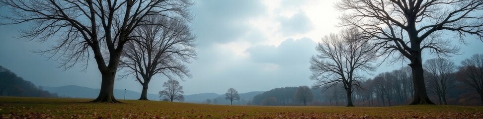 Obraz premium Overcast sky with bare trees and fallen leaves , nature, fall