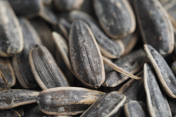 Sunflower seeds scattered on a rustic wooden surface