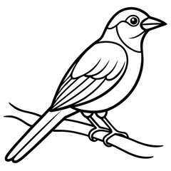 bird on a branch