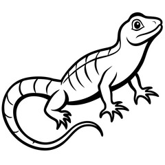 lizard on white background