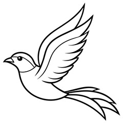 Obraz premium ornament 