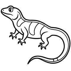 lizard on white background