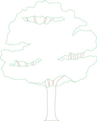 The mahogany tree is a majestic hardwood species known for its tall, straight trunk and broad, leafy canopy.