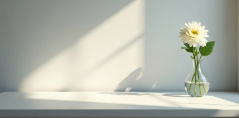 Soft light falls on a minimalist desk with a single white flower in a glass vase, desk, simple