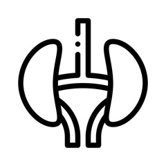 Obraz premium kidney line icon