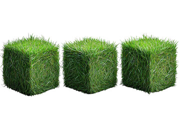 grass cubes, three green lawn blocks on white background.