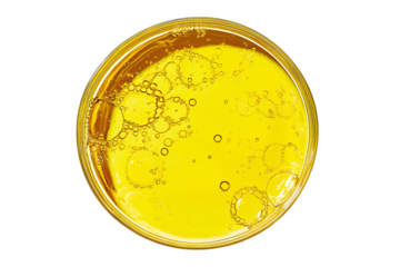 yellow liquid with bubbles, top view
