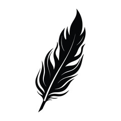 Obraz premium A feather transforming into flames on white background.