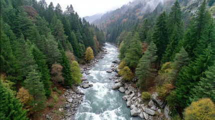 Obraz premium Autumn River Valley Aerial Lush Green Forest, Grey Green Water, Rocky Banks