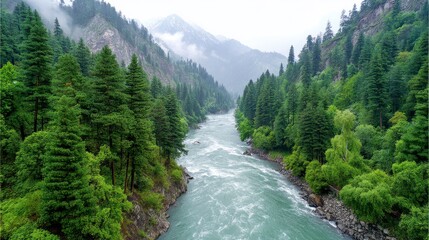 Obraz premium Fast Flowing River in Lush Green Valley, Mist Covered Mountains