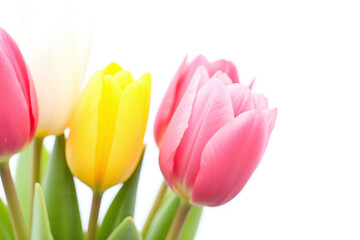 Naklejka premium bunch of tulips in a vase on a white background