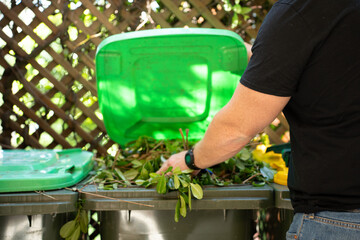 garbage collection cleaning of the territory garden cleaning tree trimming waste bin for leaves and...