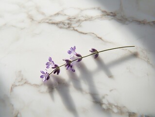 Lavender Sprig on Marble