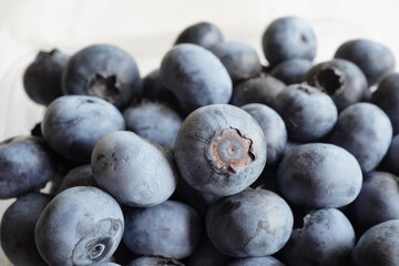 ブルーベリー狩りで摘み取りしてきた大きくて甘いブルーベリのアップー。