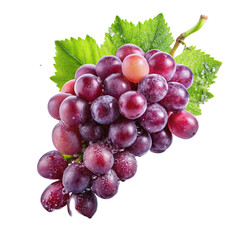 Fototapeta premium bunch of grapes