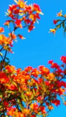 Vibrant blue sky forms a rectangular border, ideal for design layouts, abstract, advertising, marketing