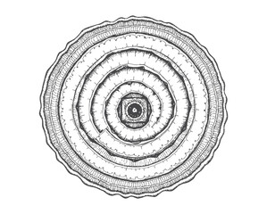Abstract spiral pattern design shows a swirling, round shape like a shell