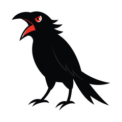 Black Raven Cawing With Wings Outstretched On White Background