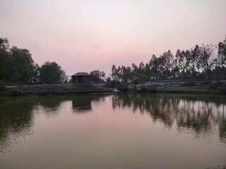 Village environment of Bangladesh.