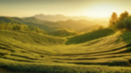 Fototapeta premium Blurred background of green tea plantation at sunrise time,nature background. Ai Generated Images