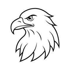 Obraz premium eagle head vector illustration