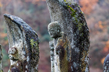 崖のてっぺんに立つ共同墓地。
お墓以外にも、苔むして摩耗した古い時代の仏像がたくさん安置されていた。
十日町の山奥の鄙びた温泉地の里山の風景。
美しい棚田も特徴的。
あいにくの小雨交じりだが、しっとりと雪国特有の雰囲気がある。
晩秋なので各所で紅葉が見られる。
新潟県十日町市 - 2024年12月1日
