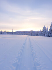 Obraz premium Fresh Snow Groomer Tracks on a Ski Piste: Recently groomed tracks.