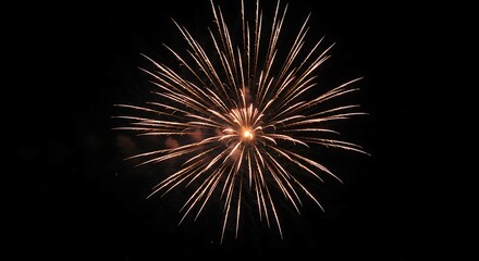 Obraz premium Fireworks background. 4th of July. Independence. For Background.
