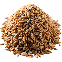Roasted Cumin Seeds