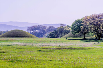 Large mound of royal tomb in Gyeongju city, South Korea.