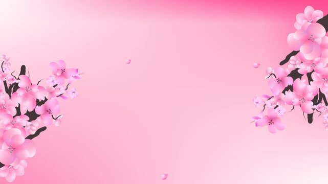Cherry blossom branch and falling petals background