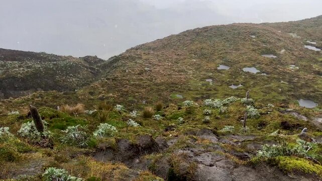 mountain landscape in the paramo