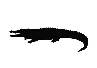 Fototapeta premium Crocodile silhouette. A striking depiction of the fierce reptilian predator with sharp teeth and rugged scales alligator beast creature. Vector clipart black illustration design.