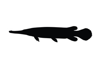 Obraz premium Alligator gar silhouette. A striking depiction of the elongated freshwater predator with sharp teeth and fins showcasing its unique shape and strength. Vector clipart black illustration design.