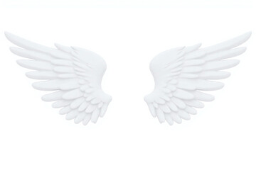 pair of white angel wings on a white background