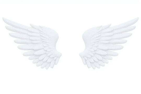 pair of white angel wings on a white background